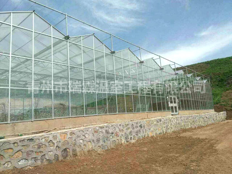 智能溫室大棚 (7)