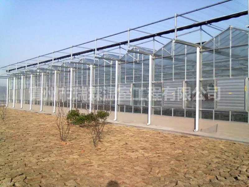 智能溫室大棚 (6)